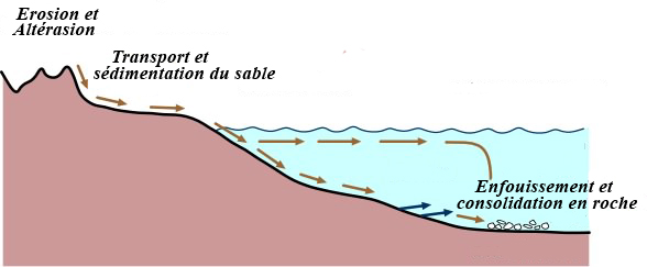 sable